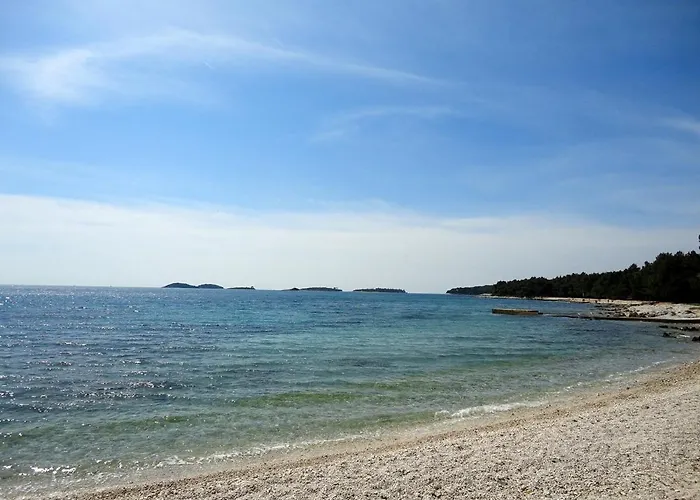 Sorgenfrei Ρόβινι